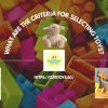 What Are The Criteria For Selecting Toys? A Comprehensive Guide for Thoughtful Choices